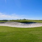 Vibrant greens cover the land on a bright, clear, and sunny day.